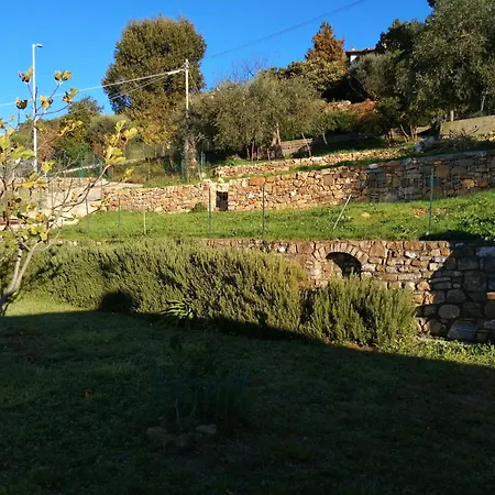 Lazzarini Giulia *